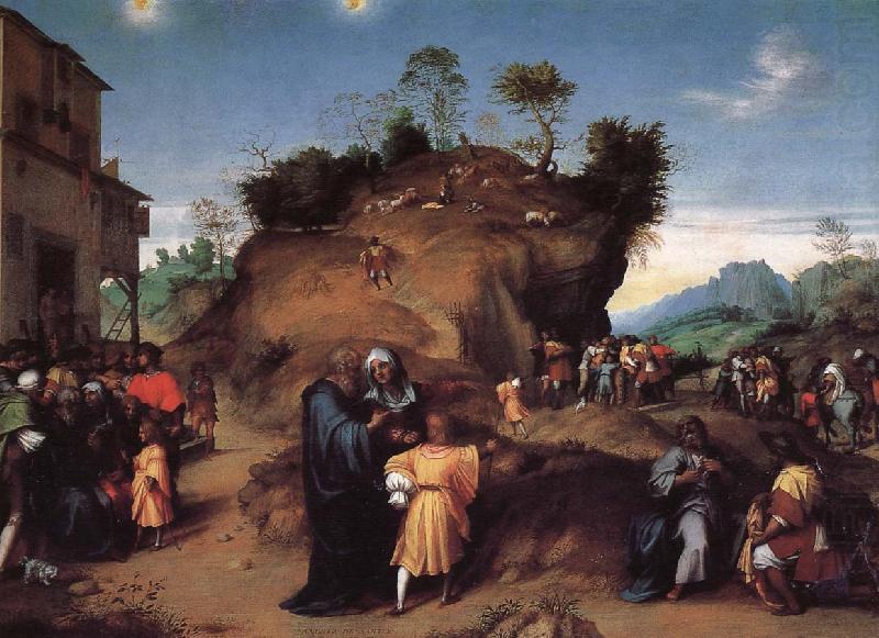 Andrea del Sarto Young Joseph oil painting picture